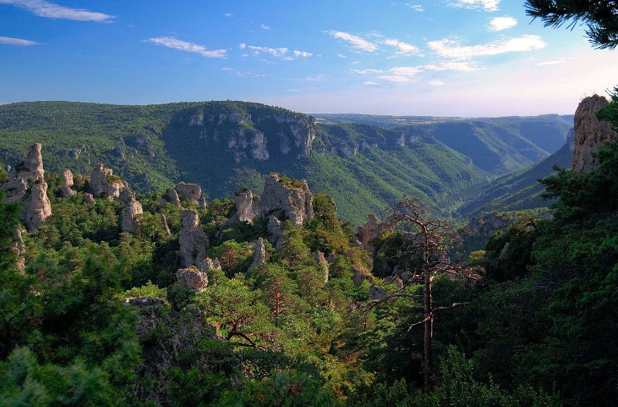 Parc naturel régional des Grands Causses, France
